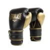 Powerlock2 Training Gloves 10oz - Black/Gold -Glove Supply Shop 141236 Powerlock2 BlackGold 1