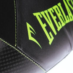 Protex Boxing Gloves - Black/Green -Glove Supply Shop 141461 ProtexBoxingGlove Black Green 06