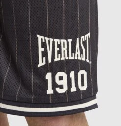 Pinstripe Mesh Court Shorts -Glove Supply Shop DWEMZ279A DWBLK 5