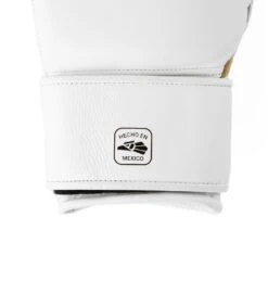 Mx2 Training Gloves 12oz - White/Gold -Glove Supply Shop DWEQ141362 DWWHT 5 0cfa3502 115d 49a2 acc5 50e27cbdd97e