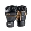 Titan Grappling Glove -Glove Supply Shop DWEQ141389 1 8ccdbe82 f4c9 4941 8b7d c83772e9d50e